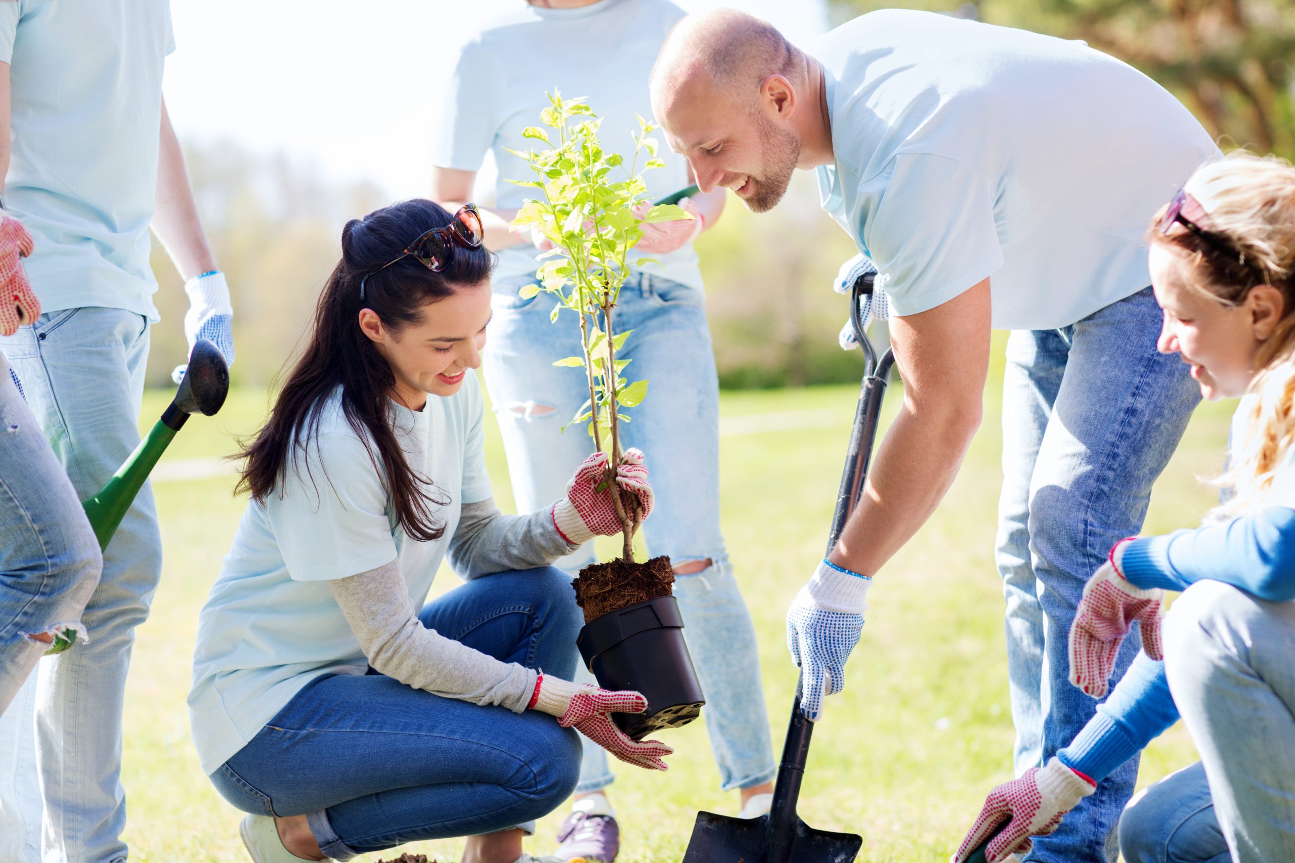 A photo of some volunteers planting a tree